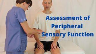 Assessment of Peripheral Sensory Function