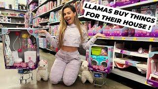 MY CRAZY LLAMAS SHOP FOR THEIR HOUSE   BUILDING MY LLAMAS A MANSION PART 3 