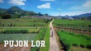 Jelajah Pujon Lor  Sawah Tulang Desa Ngroto