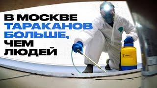 Как не пустить насекомых в дом? Дезинсектор о клопах тараканах и опасностях похода в гости