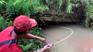 Sampai lemes. MANCING DI BAWAH JEMBATAN ternyata ikan lele nya besar besar sarang lele liar