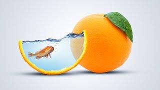 Photo Manipulation in Photoshop  Orange and Fish