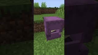 Minecraftta Shulkerların HİÇ Bilinmeyen Hikayesi #shorts #minecraft #short #shortsvideo #tiktok