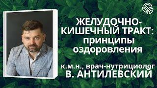 Желудочно-кишечный тракт принципы оздоровления - д-р В. Антилевский Курсы нутрициологии 2022.12