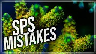 Top 8 Beginner SPS Mistakes  Acropora Tips