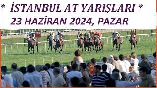 İSTANBUL AT YARIŞI YORUM VE TAHMİNLERİ 23 HAZİRAN 2024 PAZAR ALTILI GANYAN