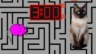 3 Minute Timer MOUSE MAZE 