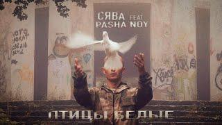 СЯВА Ft. PASHA NOY - Птицы Белые ПРЕМЬЕРА КЛИПА