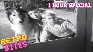 Lassie  1 Hour Special  Lassie English Full Episodes  