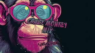 Funkhauser - Crazy Monkey Minimix 001