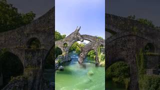 Donkey Bridge manipulation #photoshop #shorts