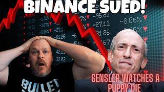 MARKET CRASHES AS GARY GENSLER WATCHES A PUPPY CRY