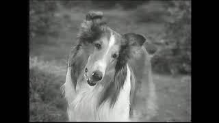 Opening to Lassie To The Rescue 1994 VHS