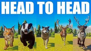 Head to Head European Animals Speed Races in Planet Zoo includes European Badger Eurasian Lynx