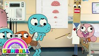 Anais Medical Condition  The Amazing World of Gumball  Cartoon Network