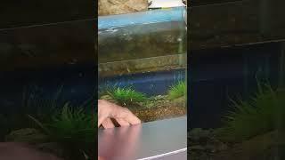 Светильник для аквариума из пвх