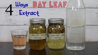 4 Ways to Extract Bay Leaf at Home. Arthritus Pain Relief Help Digestion Antioxidants Hygiene