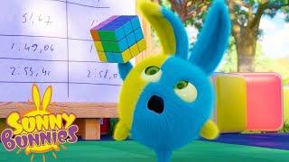 Cartoons for Children  SUNNY BUNNIES - RUBIKS CUBE  Funny Cartoons For Children