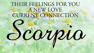 SCORPIO love tarot ️ This Person Will Try To Fix This Situation Scorpio But You Know The Truth