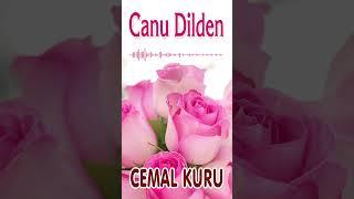 Canu Dilden - Cemal Kuru #shorts #ilahi