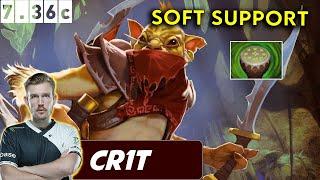 Cr1t Bounty Hunter Soft Support - Dota 2 Patch 7.36c Pro Pub Gameplay