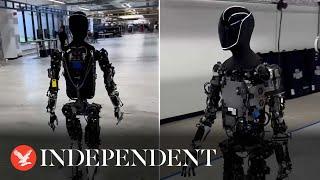 Elon Musk takes spooky humanoid robot out for walk round factory