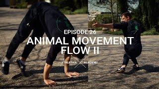 Lerne einen neuen ANIMAL MOVEMENT FLOW - Dragon Squat Ape und Rotation to L-Sit