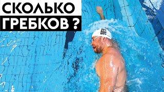 Сколько гребков в кроле надо делать чтобы плыть быстрее?