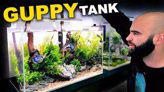 Medium Tech & Budget Guppy Nature Aquarium Full Tutorial