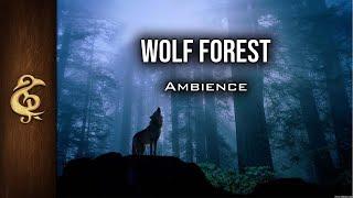 Wolf Forest  ASMR Ambience  1 Hour #DnD #RPG