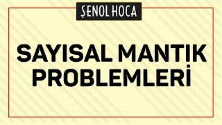 SAYISAL MANTIK PROBLEMLERİ  ŞENOL HOCA