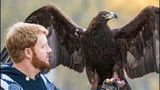 Ben Woodruff falconry updates