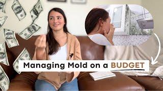 How to Manage Mold on a Budget  Air Purifiers Ozone FREE SOLUTIONS