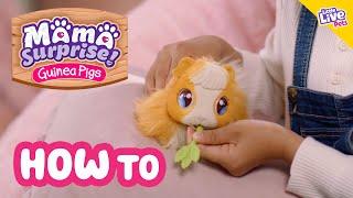 Little Live Pets  Mama Surprise  How To Care & Play