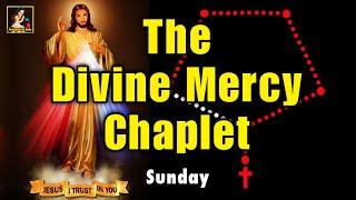 Divine Mercy Chaplet For Today AUGUST 8 2024  Chaplet of Divine Mercy