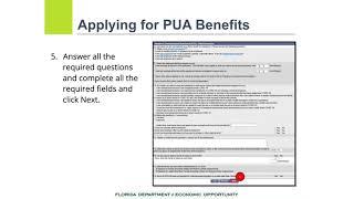 Pandemic Unemployment Assistance Video Tutorial