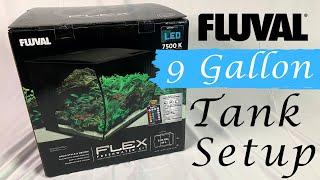 How to Set Up the Fluval Flex 9 Gallon Freshwater Kit