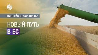 Казахстан хочет возить зерно в Европу транзитом через Азербайджан