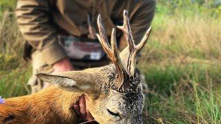 Roebuck hunt in the rut - best three shoots Bockjagd in Blattzeit