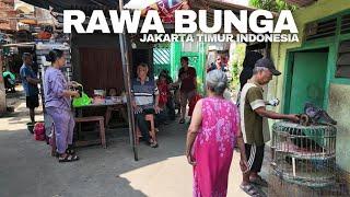 Eksplorasi didalam Gang Sempit Rawa Bunga Jatinegara Jakarta Timur - Ada Apa di Sana?  Walking