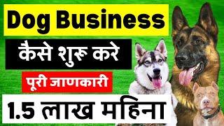 Dog Business Kise Shuru Kare  How To Start A Dog Business  In India