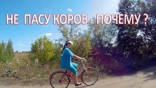 КОРОВЫ ПАСУТСЯ НА  ГОЛОЙ ЗЕМЛЕ ПОЧЕМУ МЫ НЕ ГОНЯЕМ В СТАДО КОРОВ? ЭТО НЕ ТО О ЧЕМ ВЫ ПОДУМАЛИ...