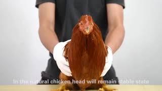 Rigiet compares with Chicken Heads #gimbal #funvideo #stabilizer #chicken