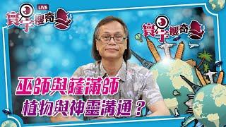 【寰宇搜奇】梁錦祥主持（132）：巫師與中國道教的起源。楚辭很多關於植物的描寫，與薩滿師很有淵源。