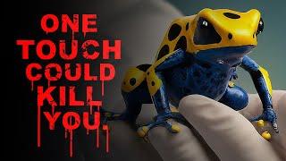 Worlds Most Poisonous Frog  The Golden Poison Dart Frog Documentary