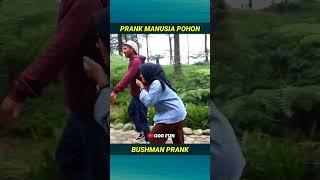 Bushman Prank... #shortvideo #shorts #short #goofun #prank