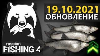 Русская Рыбалка 4 - Стрим. Обновление от 19.10.2021. Правки багов и ап сигов на Ладоге