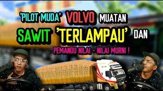 PILOT MUDA  LORI VOLVO MUATAN SAWIT TERLAMPAU AMAT - AMAT DASYAT  - ETS2