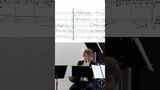 How to say I Miss Home through a Brass Quintet Melody   Turbulences BS performs Fanfarria Galica