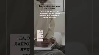 Знаете ли вы какие океанские рыбы могут менять пол в течение своей жизни?  #природа #факты #наука